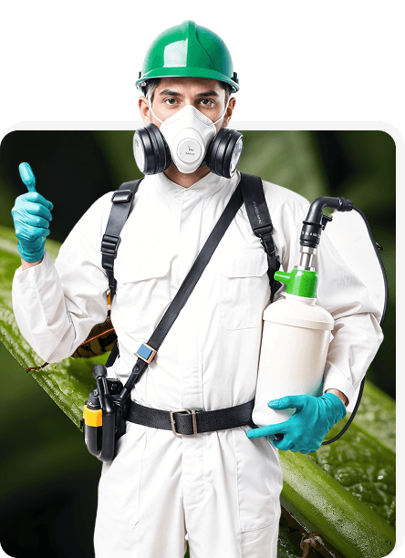 Projeto industrial em execução